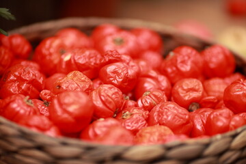 Dried tomatoes, autumn vegetables, harvest, autumn vegetables - 466973799