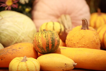 Pumpkin, harvest of autumn vegetables, healthy vegetables - 466976139