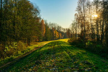 Golden hour by the Narew River