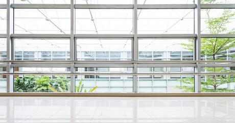 Empty corridor in modern office building with green tree outside the window