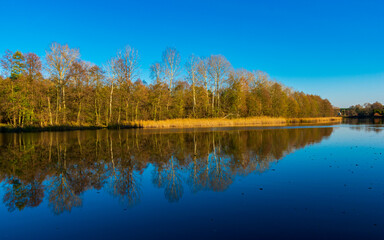 Obraz premium Golden hour by the Narew River