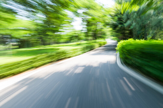 Empty road in the jungle with motion blur