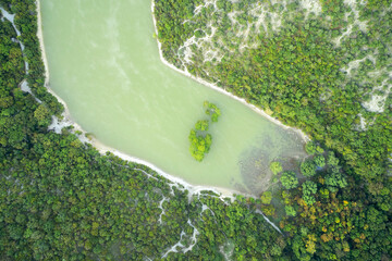 An artificial pond with a grove of cypresses growing out of the water. The lake is surrounded by wooded hills. Shooting from a drone.