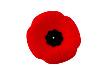 Remembrance Day November 11. Red Poppy day. Canadian soldiers. Army of Canada.  Lest We forget. Red Poppy flower pin - a symbol of International Day of Remembrance. Isolated red poppy pin.
