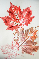 imprints of leaves - Graphics - monoprint