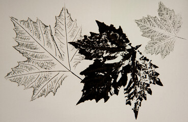 artistic image - imprints of leaves - Graphics - monoprint