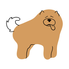 Illustration of a chow-chow dog in handdrawn style on a separate white background