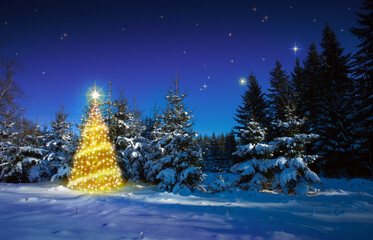 Christmas tree in winter forest and stars sky. Christmas Card.