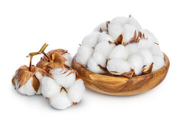 Cotton plant flower in wooden bowl isolated on white background with clipping path and full depth of field