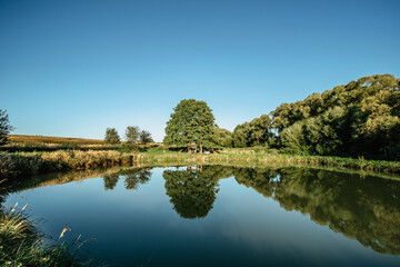 Fototapeta na wymiar Beautiful trees reflected in water.Rural summer landscape with tree against blue sky and pond.Peaceful and suitable atmosphere for meditation.Serene tranquil scenery.Idyllic sunny day outdoors