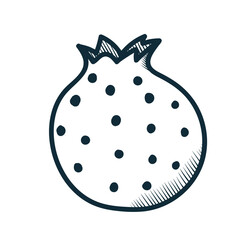 stylish vase in the form of a pomegranate. black and white graphics in doodle style