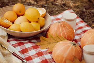 Having picnic outdoor in warm autumn park. Oranges, pumpkins, some candles on picnic pad in spruce forest