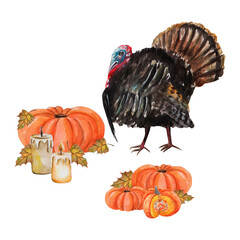 Watercolor design: turkey bird with pumpkins, fall leaves, candles secor. For farming party invites, Thanksgiving postcards, calendars, stationery, posters, autumn prints, halloween cards, promotions