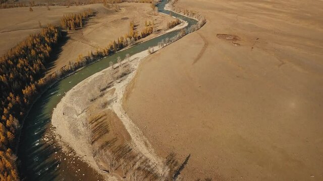 Altai Republic, Siberia, Russia. A flowing turquoise-green curved river in the field, sparse trees, endless fields and steppe and huge snowy mountains in the background. aerial view of the beautiful