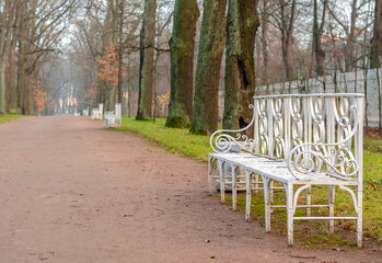 Alexander park in autumn, Pushkin (Tsarskoe Selo), St. Petersburg, Russia