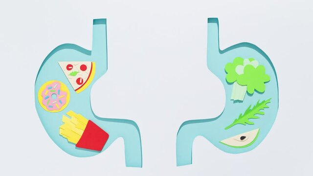 Comparison of the stomach of a person who consumes a sufficient amount of vegetables and fruits and the stomach of a person who consumes a large amount of fast carbohydrates. Stop motion animation.