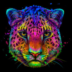 Abstract, multi-colored portrait of a Jaguar looking forward on a black background in watercolor style. Digital vector graphics.