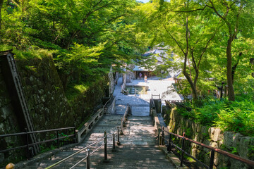 Fototapeta na wymiar 京都市 清水寺境内 音羽の滝へ続く階段