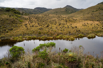 Hike to Paramo de Guacheneque, birthplace of the Bogota River. The 
guacheneque lagoon. At...