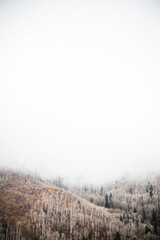 Cloudy, snow frosted mountainside. 