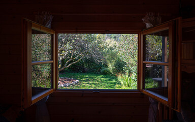 View through a window in a green garden