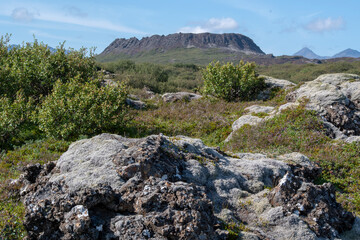 Landscape of Eldborg crater extinct volcano near Borgarnes South Iceland