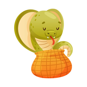 Cute green snake in basket. Funny wild reptile baby animal cartoon vector illustration