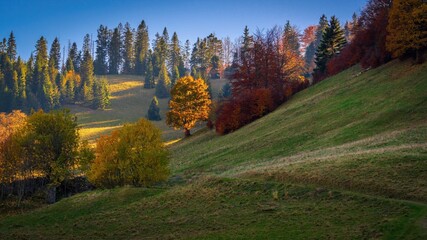 Jesień w Pieninach w słoneczny dzień © Michal45