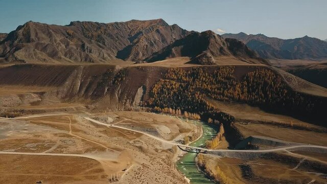 Altai Republic, Siberia, Russia. Rare trees, the green river Biya and Katun, a highway with a bridge in an endless field and steppe and huge stone mountains in the background. Aerial view of the