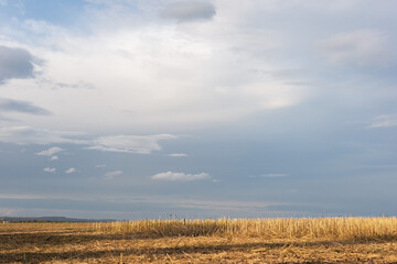Obraz premium autumn countryside landscape of field after harvest against cloudy sky background
