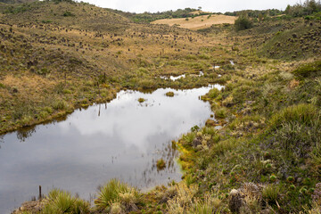 Hike to Paramo de Guacheneque, birthplace of the Bogota River. The 
guacheneque lagoon. At Villapinzón, Cundinamarca, Colombia.