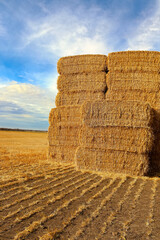 A stack of square hay bales against a blue sky © Amelia