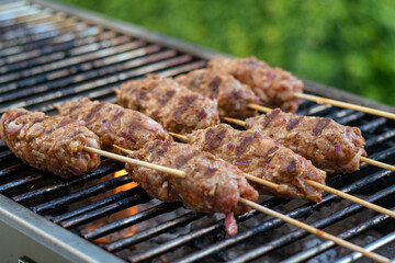 meat on the grill