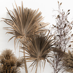 bouquet of dried flowers in a black vase with reeds on a white background