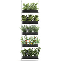 decorative vertical garden for the kitchen on a white background
