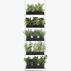 decorative vertical garden for the kitchen on a white background