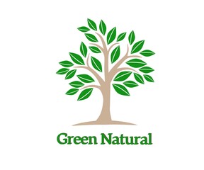 Obraz premium Natural green tree vector. natural green. Evergreens. Natural tree logo. green forest. world tree day. Vector design illustration.