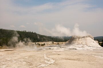 trees, river, Geyser and hot spring in old faithful basin in Yellowstone National Park in Wyoming