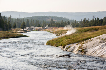 trees, river, Geyser and hot spring in old faithful basin in Yellowstone National Park in Wyoming