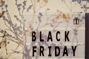 Signboard with text Black Friday and gypsophila flower. Online shopping concept. Buying presents for Christmas. Cozy home. Hgh trendy shadows.Top view