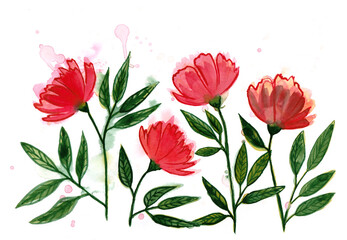 Red flowers. Hand drawn watercolor illustration.
