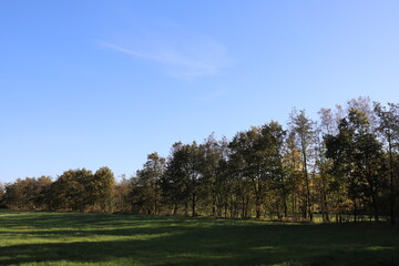 Fototapeta premium Rural landscape with field and forest edge in the fall, panoramic photo.