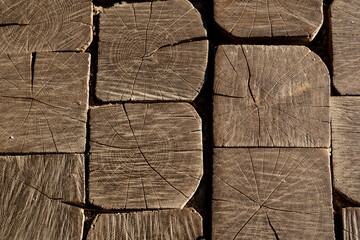 Oak trunks closeup texture, wooden butt edges background