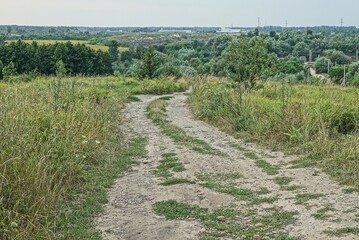 Naklejka premium gray sand road on a summer field among green grass and vegetation