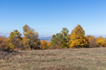 Autumn landscape of Cherna Gora (Monte Negro) mountain, Bulgaria