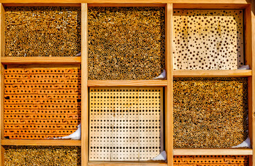 insect hotel at a farm