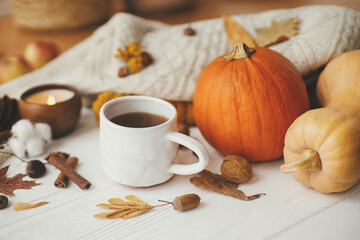 Hello autumn, cozy slow living. Warm cup of tea on background of autumn leaves, pumpkin, cozy sweaters, burning candle on white wood in stylish room. Happy Thanksgiving