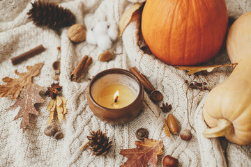Cozy autumn days. Stylish knitted sweater with burning candle, pumpkins, autumn leaves, nuts, berries. Happy Thanksgiving and Halloween. Hello fall season