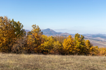 Fototapeta premium Autumn landscape of Cherna Gora (Monte Negro) mountain, Bulgaria