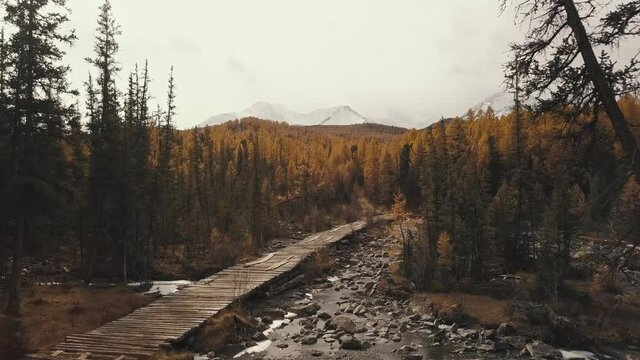 Altai Republic, Siberia, Russia. Aerial view of the autumn forest, a mountain Chuya River and Aktru, a wooden bridge, a road in the forest and mountains. Cold wild landscape: a winding river with